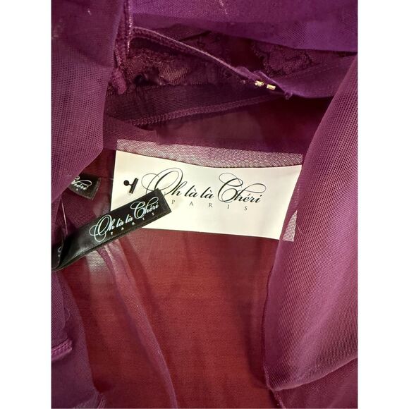 Oh La La Cheri Stassi Sheer Babydoll w/Thong IN Potent Purple sz S/M NWT - Picture 8 of 10